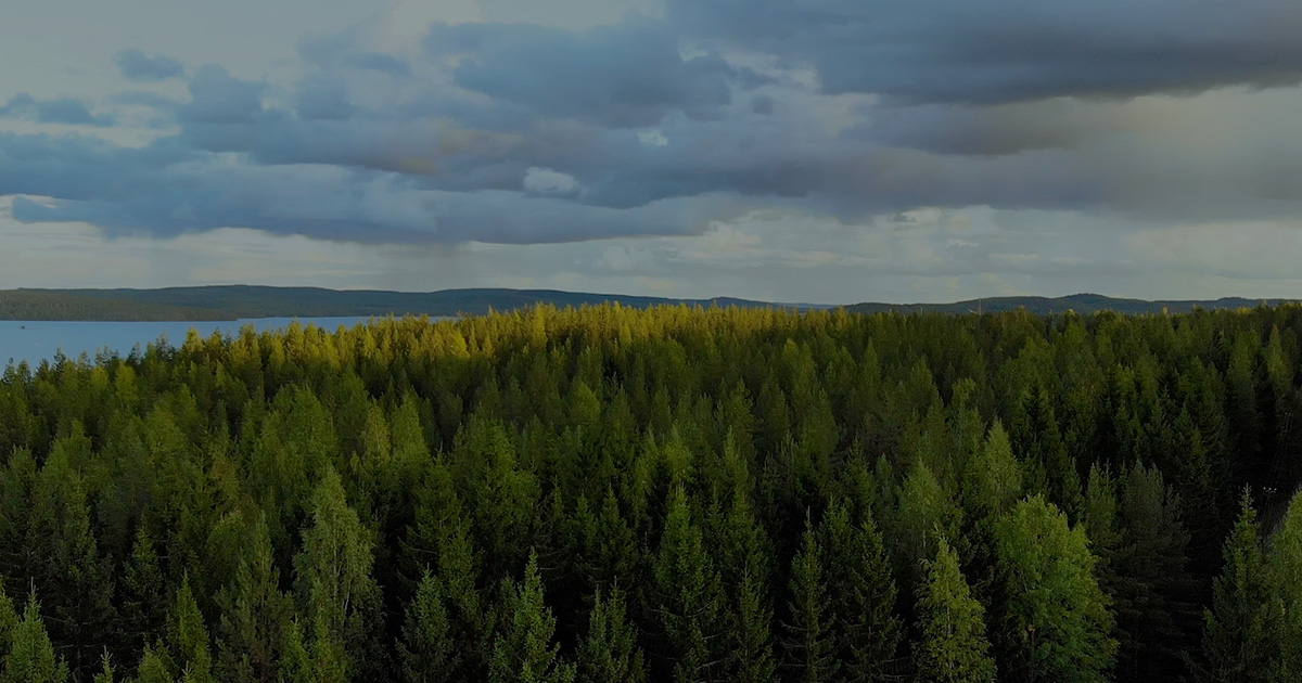 Finnish Landscapes I
